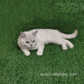 Fake Grass For Dogs Cats